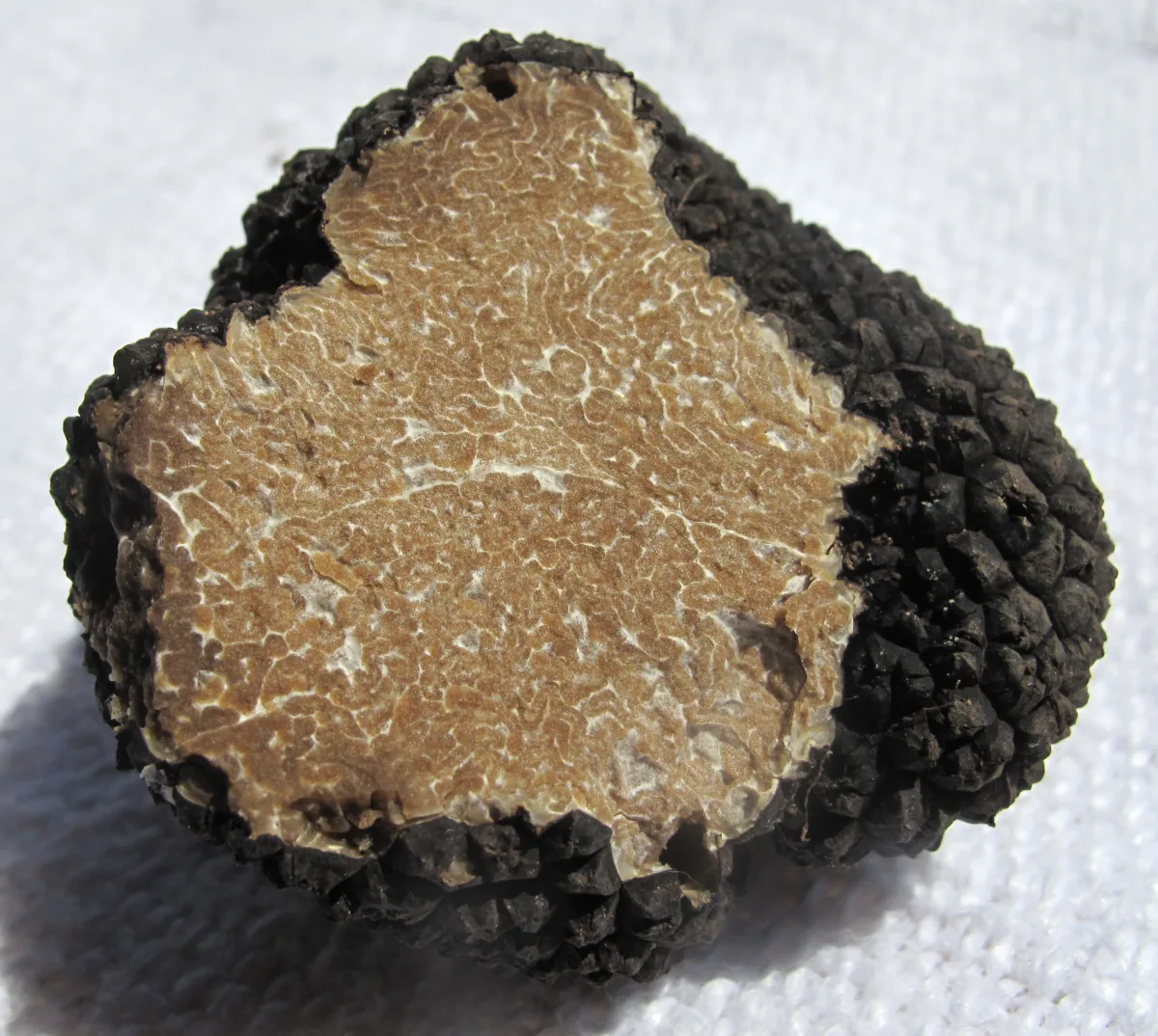 Summer Truffle